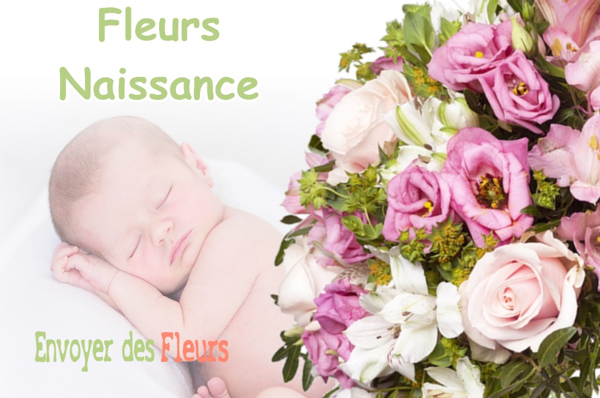 lIVRAISON FLEURS NAISSANCE à MIERY